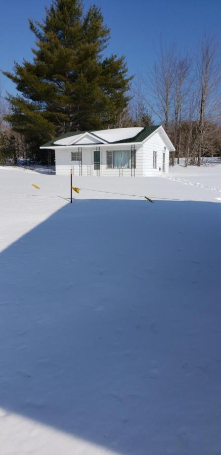 Chapel Hill Motel Brevort 외부 사진